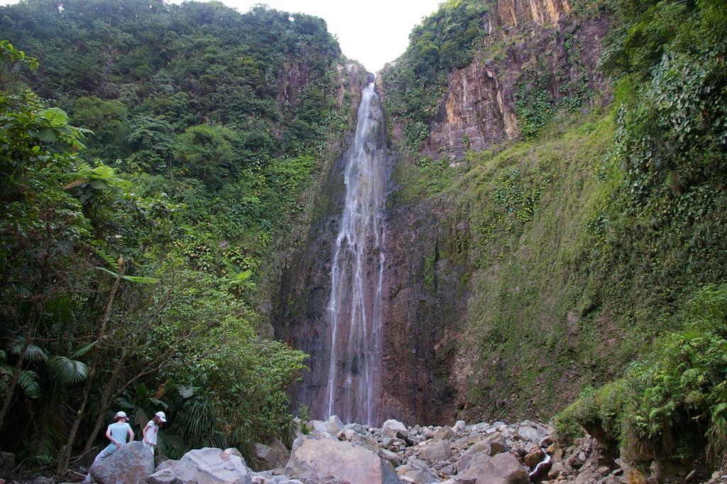 Kaz Creole Aventure Tropicale Insolite, Fibre, Jardin Et Jacuzzi Prives Saint-Francois  Εξωτερικό φωτογραφία
