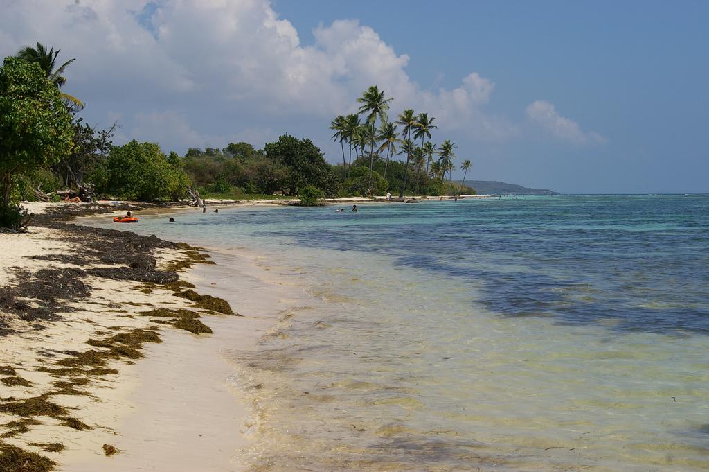 Kaz Creole Aventure Tropicale Insolite, Fibre, Jardin Et Jacuzzi Prives Saint-Francois  Εξωτερικό φωτογραφία