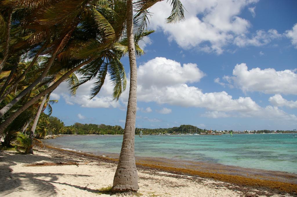 Kaz Creole Aventure Tropicale Insolite, Fibre, Jardin Et Jacuzzi Prives Saint-Francois  Εξωτερικό φωτογραφία
