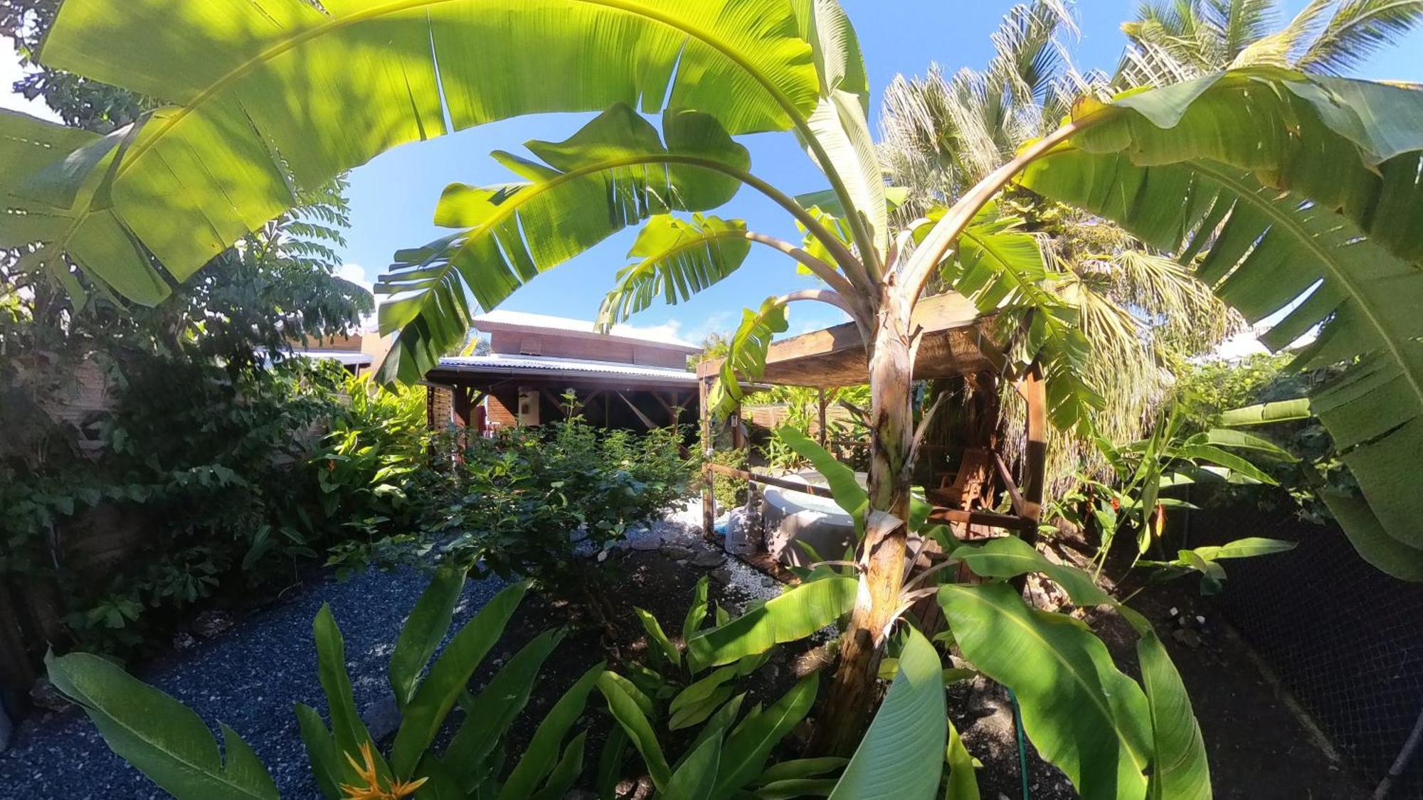 Kaz Creole Aventure Tropicale Insolite, Fibre, Jardin Et Jacuzzi Prives Saint-Francois  Εξωτερικό φωτογραφία
